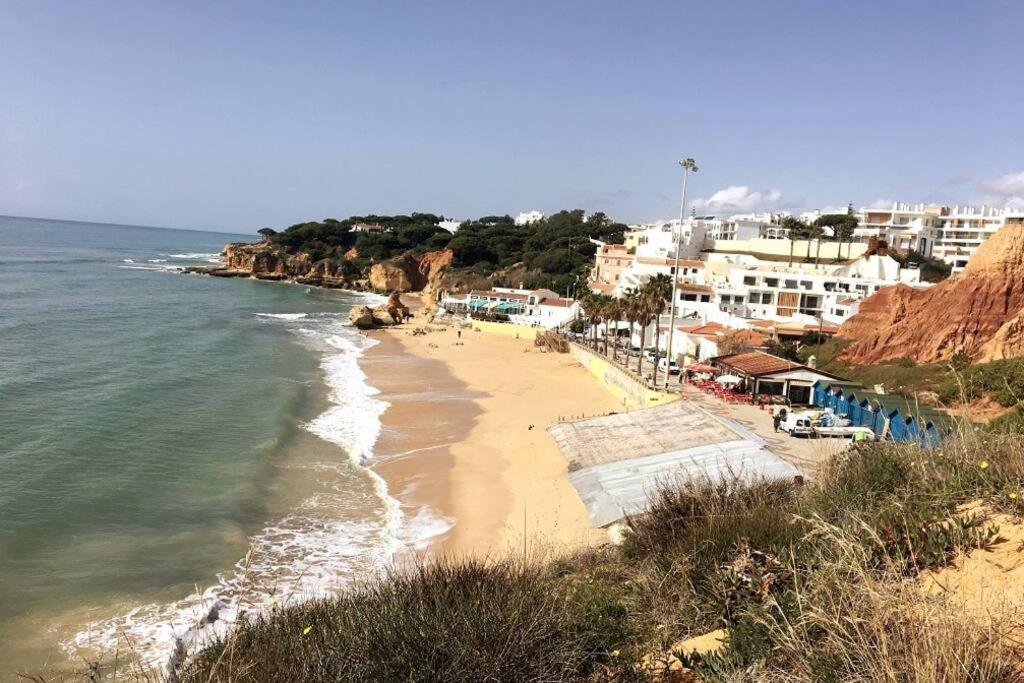 奥霍斯德古阿Magnifique Duplex Avec Piscine En Bord De Mer公寓 外观 照片